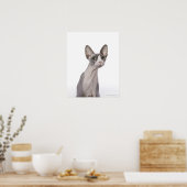 Sphynx Cat mit überraschtem Ausdruck Poster (Küche)