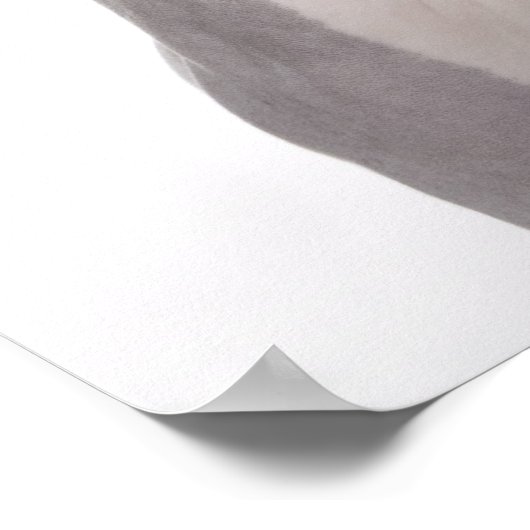 Sphynx Cat mit überraschtem Ausdruck Poster (Ecke)