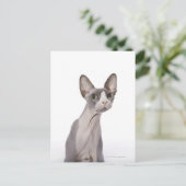 Sphynx Cat mit überraschtem Ausdruck Postkarte (Stehend Vorderseite)