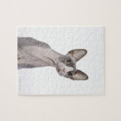 Sphynx Cat mit überraschtem Ausdruck Puzzle (Horizontal)