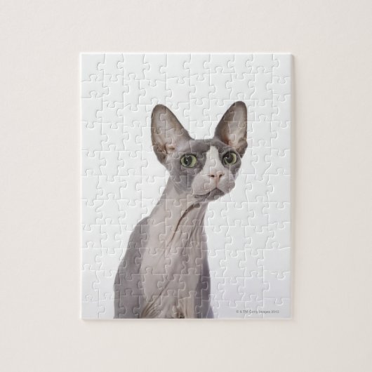 Sphynx Cat mit überraschtem Ausdruck Puzzle (Vertikal)