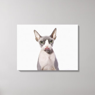 Sphynx Cat mit Zunge Leinwanddruck