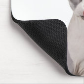 Sphynx Cat mit Zunge Mousepad (Ecke)