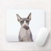 Sphynx Cat mit Zunge Mousepad (Mit Mouse)