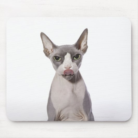 Sphynx Cat mit Zunge Mousepad (Vorne)