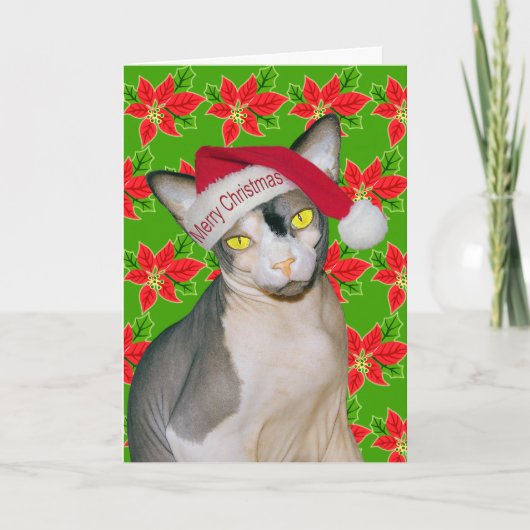 Sphynx Cat Ninja Santa Christmas Holi Green Karte (Vorderseite)