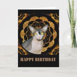 Sphynx Cat Ninja Vintage Style Black Gold Birthday Karte
