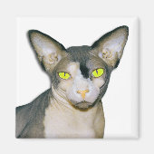 Sphynx Cat Ninja White Square Magnet (Vorne)
