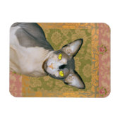 Sphynx Cat Patchwork Floral Damask Design  Magnet (Horizontal)
