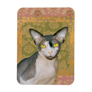 Sphynx Cat Patchwork Floral Damask Design  Magnet