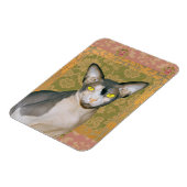 Sphynx Cat Patchwork Floral Damask Design  Magnet (Linke Seite)