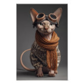 Sphynx cat Pilot Aviator Cool Funny Aviation Fotodruck (Vorne)