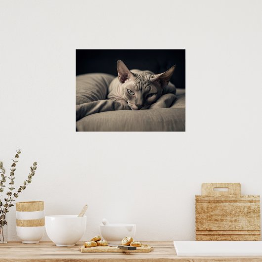 Sphynx Cat Poster (Küche)