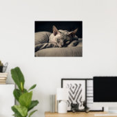 Sphynx Cat Poster (Heimbüro)