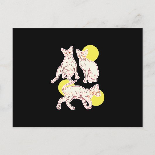 Sphynx Cat Postkarte (Vorderseite)
