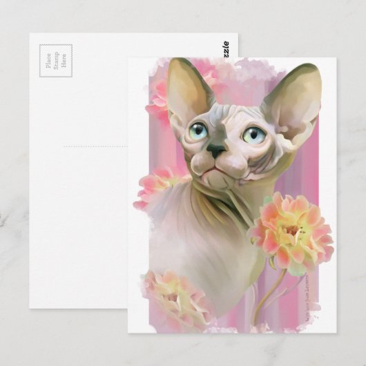 Sphynx Cat Postkarte (Vorne/Hinten)