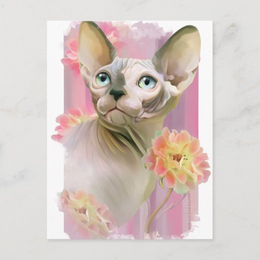 Sphynx Cat Postkarte (Vorderseite)