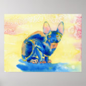 Sphynx Cat Print Poster (Vorne)