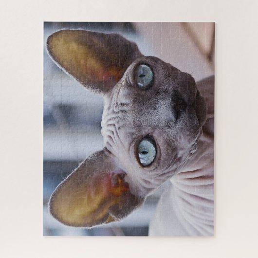 Sphynx Cat. Puzzle (Vertikal)