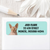 SPHYNX CAT-RÜCKSENDEADRESSEN-AUFKLEBER (Insitu)