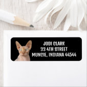 SPHYNX CAT-RÜCKSENDEADRESSEN-AUFKLEBER (Insitu)