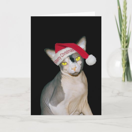 Sphynx Cat Santa Black Christmas Karte (Vorderseite)