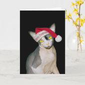 Sphynx Cat Santa Black Christmas Karte (Gelbe Blume)