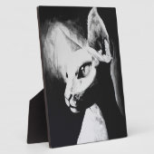 Sphynx Cat Schwarz-weiß Contrast Kitty Portrait Ku Fotoplatte (Seite)