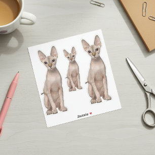Sphynx Cat Stickers Aufkleber