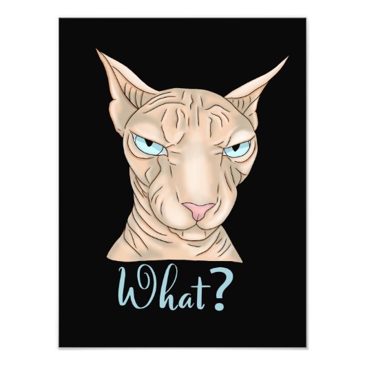 Sphynx Cat. Was ist? Fotodruck (Vorne)