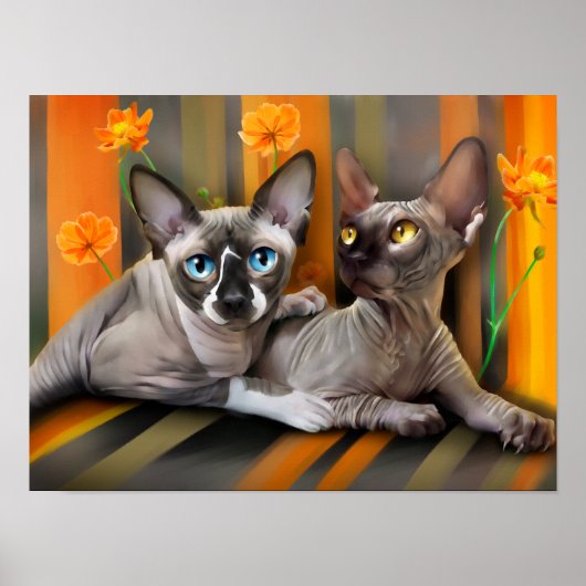 Sphynx cats poster (Vorne)
