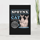 Sphynx Coole Katze | Sphynx Karte (Vorderseite)