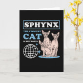 Sphynx Coole Katze | Sphynx Karte (Gelbe Blume)