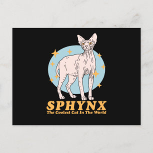 Sphynx Coole Katze   Sphynx Postkarte