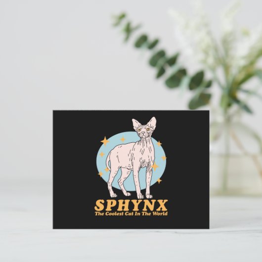 Sphynx Coole Katze | Sphynx Postkarte (Stehend Vorderseite)