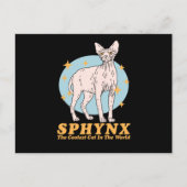 Sphynx Coole Katze | Sphynx Postkarte (Vorderseite)