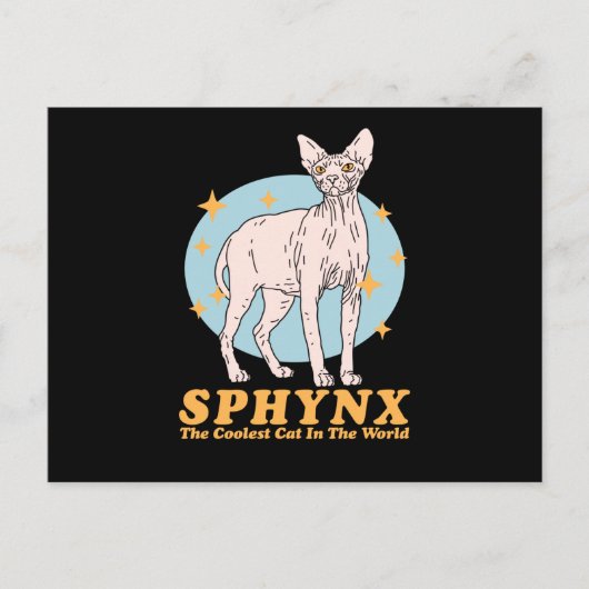 Sphynx Coole Katze | Sphynx Postkarte (Vorderseite)