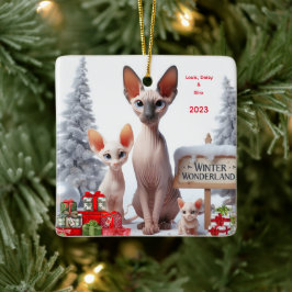 Sphynx Familie Personalisierte Weihnachtsschmuck