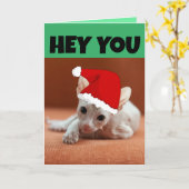SPHYNX HAIRLESS CAT KITTEN CHRISTMAS CARD KARTE (Gelbe Blume)
