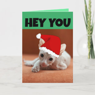 SPHYNX HAIRLESS CAT KITTEN CHRISTMAS CARD KARTE