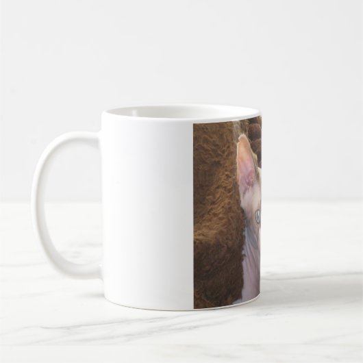 Sphynx Kaffeetasse (Links)