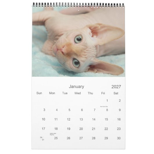 Sphynx Kalender 2012 (Jan 2027)