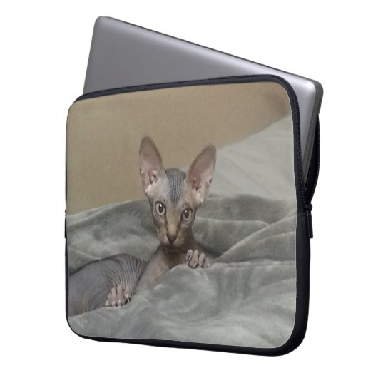 Sphynx Kätzchen Laptopschutzhülle (Vorderseite Links)