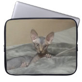 Sphynx Kätzchen Laptopschutzhülle (Vorderseite)