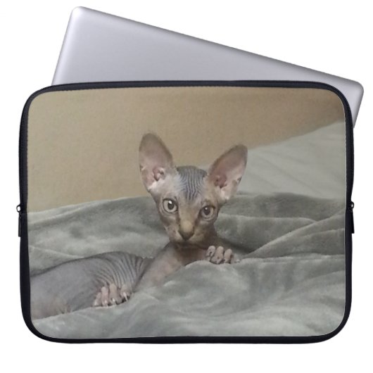 Sphynx Kätzchen Laptopschutzhülle (Vorderseite)