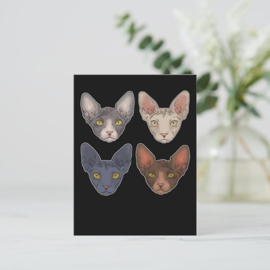 Sphynx Katze Geschenk für Männer Sphynx Katze Postkarte (Stehend Vorderseite)