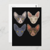 Sphynx Katze Geschenk für Männer Sphynx Katze Postkarte (Vorne/Hinten)