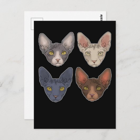 Sphynx Katze Geschenk für Männer Sphynx Katze Postkarte (Vorne/Hinten)