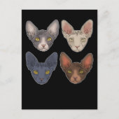 Sphynx Katze Geschenk für Männer Sphynx Katze Postkarte (Vorderseite)