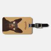 Sphynx Katze mit dem gelbe Augen-abstrakten Gepäckanhänger (Vorderseite horizontal)